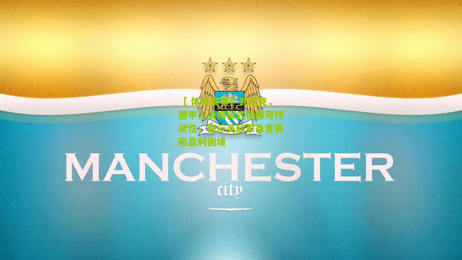 瓦茨克,德甲工资帽模式保障可持续性,警示英超军备竞赛陷盈利困境