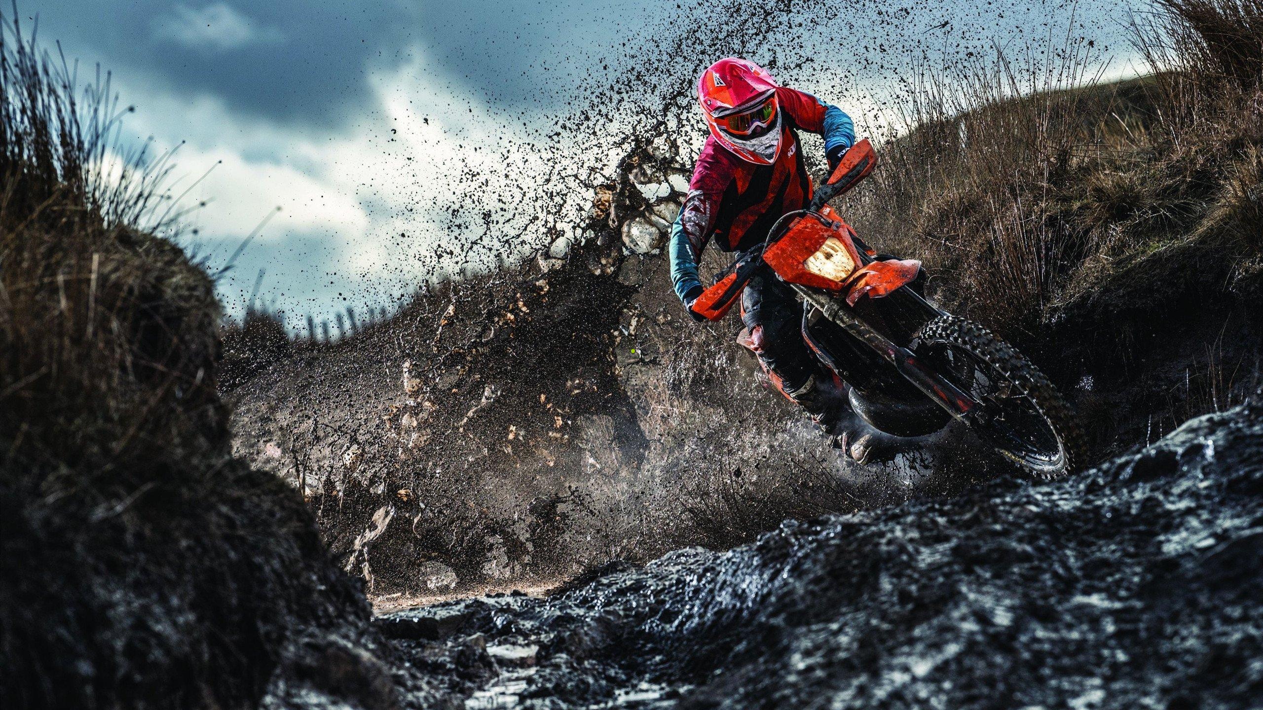 闪电狼势如破竹，春季常规赛全胜收官